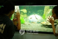 전주자연생태박물관 리모델링…7∼12월 휴관