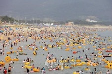 전남 명사십리·가마미해수욕장 내달 1일 개장