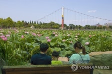 연꽃향의 유혹…전주시 덕진공원