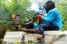 도시양봉장에서 벌꿀 채밀