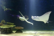 한화, 아쿠아플라넷 63 리뉴얼 오픈