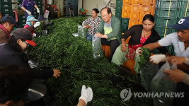 곤드레나물 포장하는 네팔 근로자들