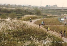 평택시, 진위·안성천 합류 반경 5㎞ 두강물숲 조성