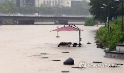 대전 268㎜ 폭우…충남 농경지 413㏊ 침수(종합2보)
