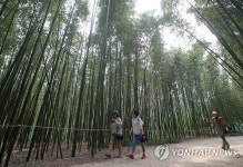 대통령이 추천한 울산 십리대숲…바람과 시간 머무는 곳