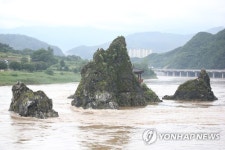 황톳빛 물살에 휘감긴 도담삼봉