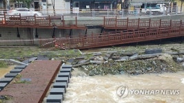 충주천 생태하천 복원공사 부실