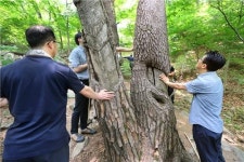 숲 속 자연과 교감하며 체험하는 힐링의 참맛