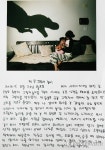 앗! 공룡이 나타났다~ 동강국제사진제 사진일기 공모전