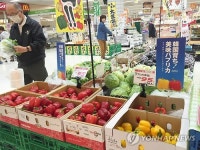 농협, COOP삿포로에 한국산 파프리카 시장 개척