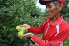무주 안성면 지역 우박피해 발생