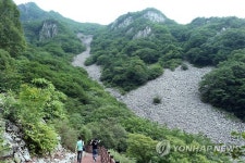 밀양 얼음골 가는 길