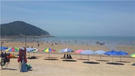들어서는 순간 호객 서해안 해수욕장…주차난도 여전