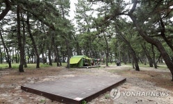 솔 향기·바다 내음 가득…강릉 연곡 해변 캠핑장 개장