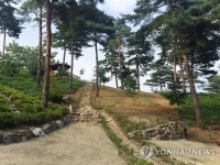 속초 청대산에 조성한 산림공원