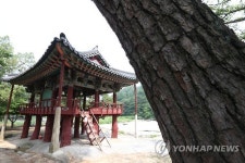 동호정