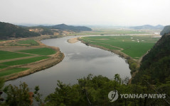 영산강 수질 좋아졌다…떠났던 수달 돌아와