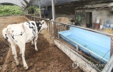 19년 강제노역 지적 장애인이 생활한 축사