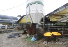19년 강제노역 지적 장애인이 생활한 축사