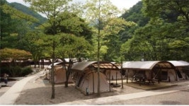 <충북소식> 소백산 야영장 종량제봉투 실명제 시범운영