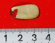 서울 암사동 유적에서 옥 장신구 출토