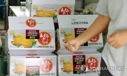 부동산 거래 끊기고 귀농 뜻 접고…시름에 잠긴 성주