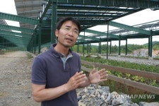 위는 태양광, 아래는 산마늘…영월 남면태양광발전소
