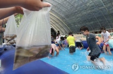 '맨손으로 미꾸라지 잡는 어린이들'