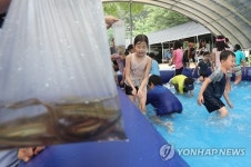 '맨손으로 미꾸라지 잡는 어린이들'