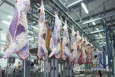 나주 축산물공판장 새 후보지 놓고 동상이몽
