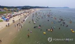 바다가 부른다 서해 대천해수욕장에 20만여명(종합)