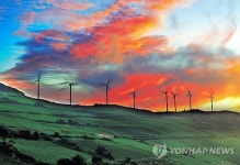 강원 태백 매봉산 바람의 언덕…가을바람에 더위 실종