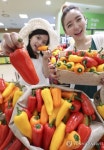 과일 파프리카 드셔보세요