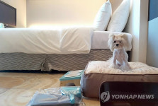 해운대에 애견동반 전용 호텔