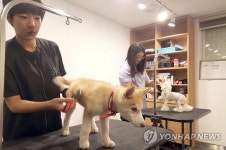 애견동반 전용 호텔 미용실