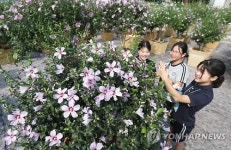 나라꽃 무궁화 구경 오세요