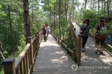 보성 제암산 자연휴양림