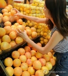 롯데마트, 남아공산 자몽 판매 개시