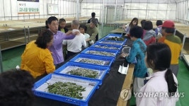원주 고니골농장 조영준 대표 6차산업인에 선정