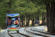 <휴가는 국내로> (17) 한국의 나폴리 강원 삼척 장호항