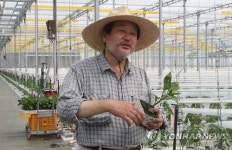 김제 파프리카 농장 방문한 김무성