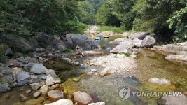 폭염 피해 계곡으로