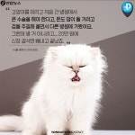 <카드뉴스> 비싸고, 기준 없고…반려인 울리는 동물병원비