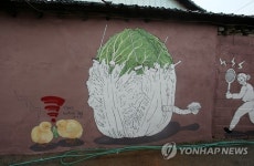 벽화 그려진 평창 계촌마을