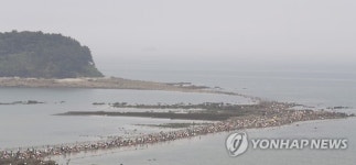 신비의 바닷길