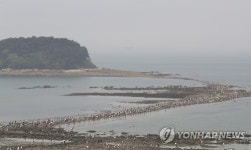 신비의 바닷길