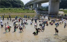 섬진강서 다슬기 잡아요…임실서 27∼28일 다슬기 축제