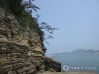 전북 부안 위도의 단애와 소나무