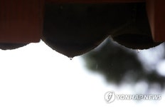 반갑다. 비야