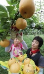 배수확!